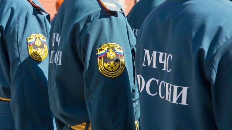    Фото: pticelov/Shutterstock/Fotodom