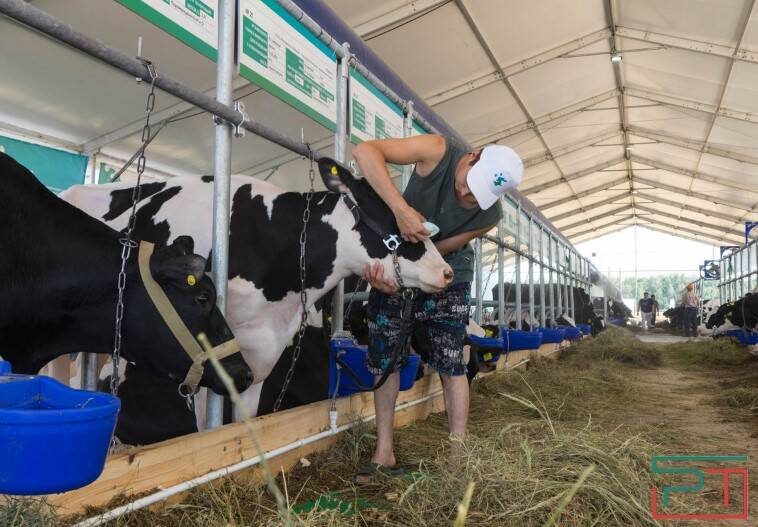 Юлия Бидун / «РТ»