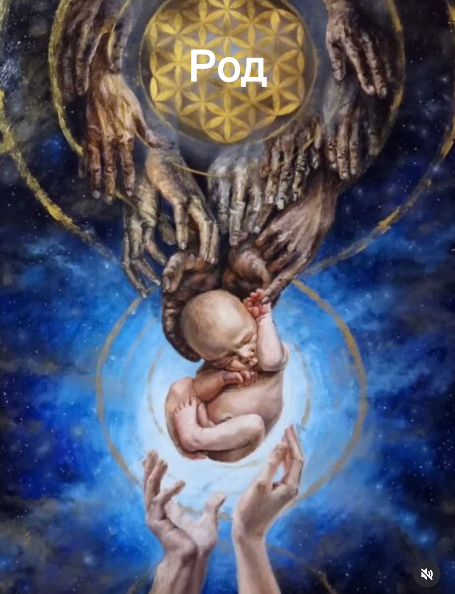 Род 