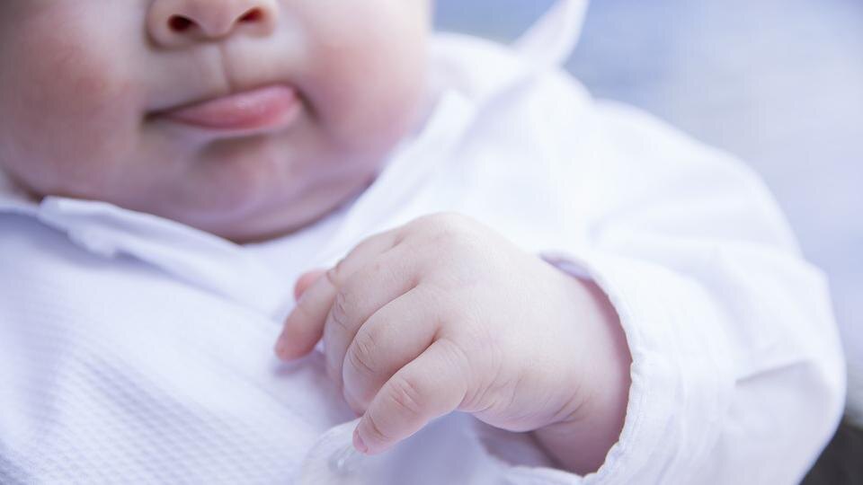    Фото: pixabay.com