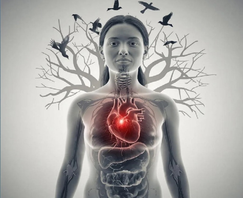 Боль в голове, ком в горле, тяжесть в груди или о чём говорят сигналы тела?