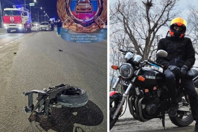    Фото: Коллаж АиФ-Ростов