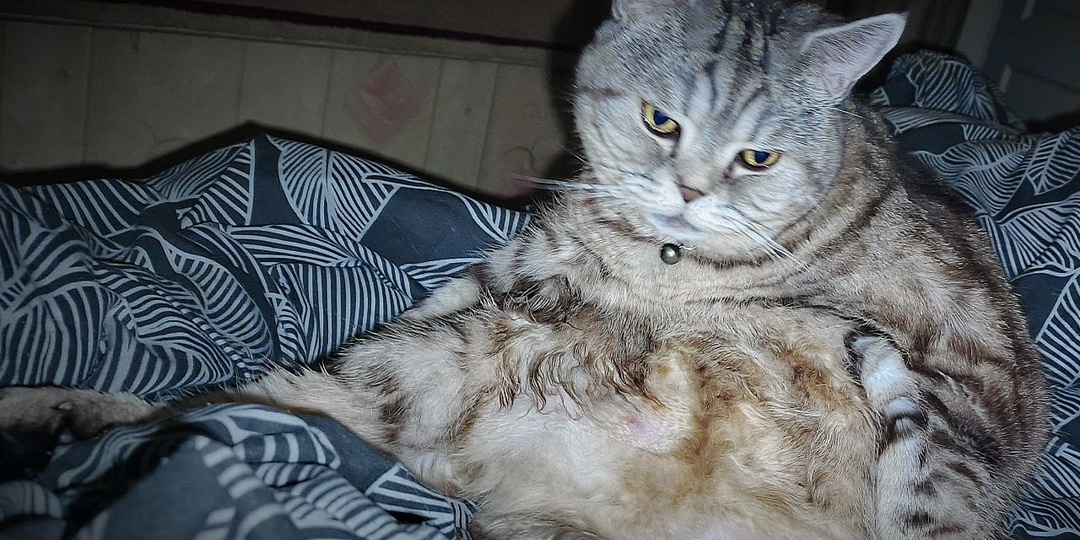 Задумвчивый Артурка