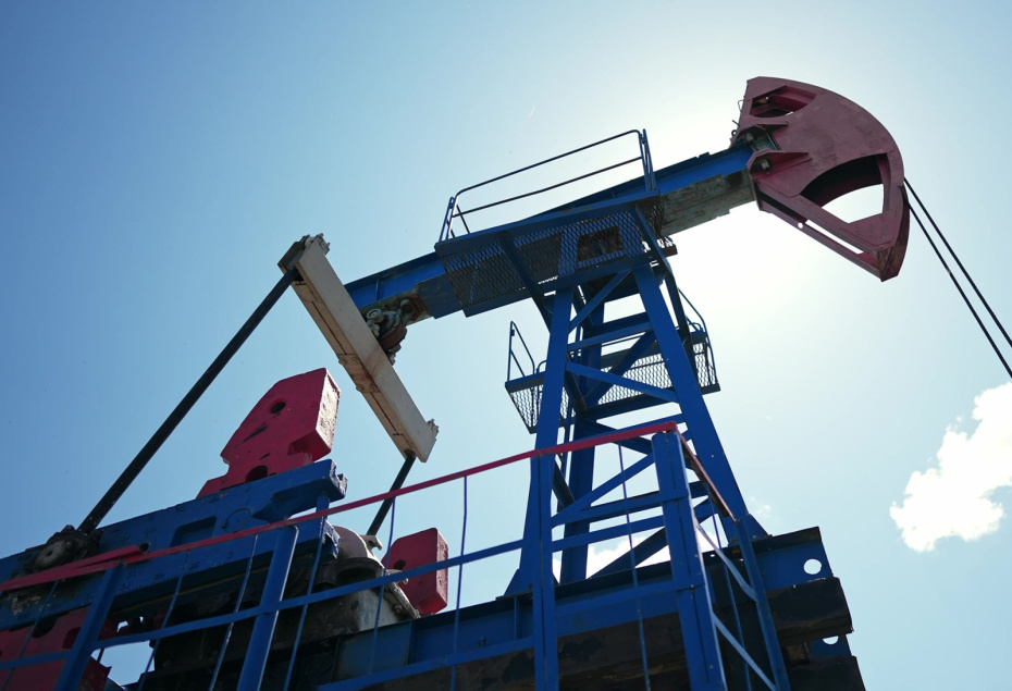    Shutterstock/FOTODOM