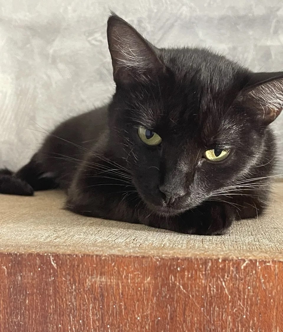 Может, меня назвали в честь героини фильма "Малышка на миллион"?