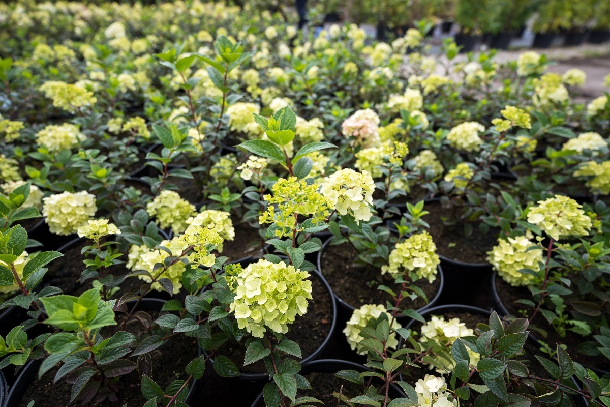 Фото: Александр Плонский / «Агроэксперт»