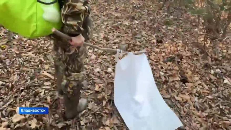    Источник фото: