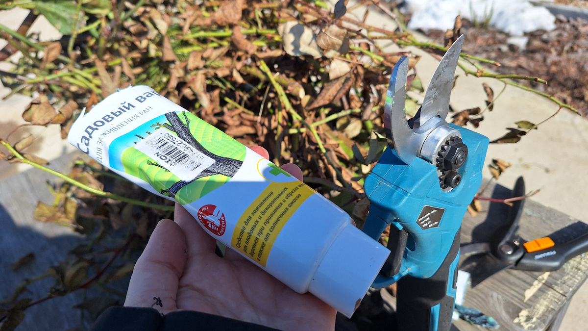 Фото автора. Мои помощники: садовый вар, секаторы механический и аккумуляторный