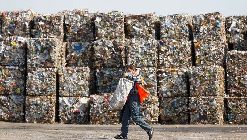      Фото: Эдуард Корниенко / / ИА «Победа26»