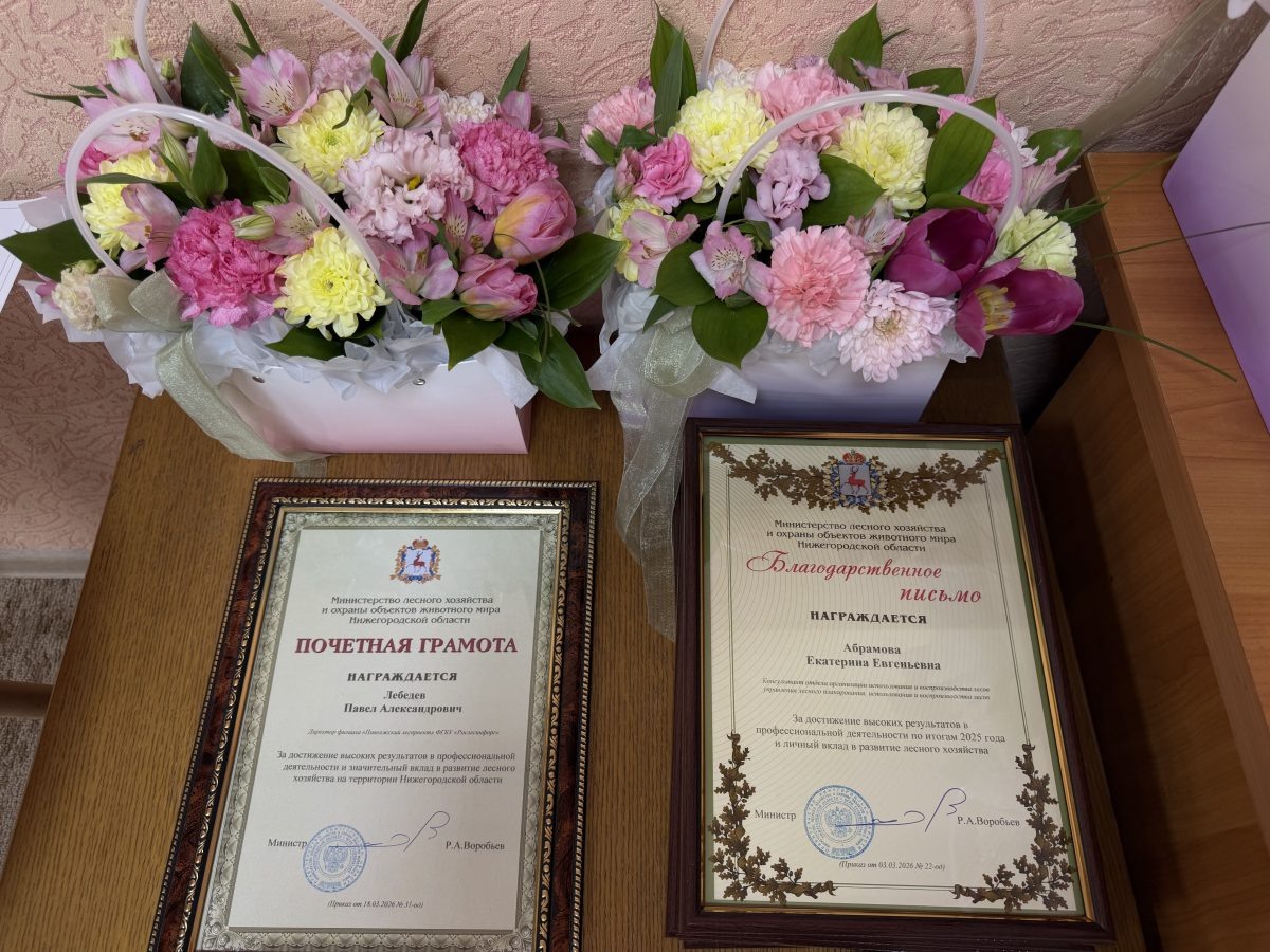    45 охотоведов и лесников Нижегородской области получили награды
