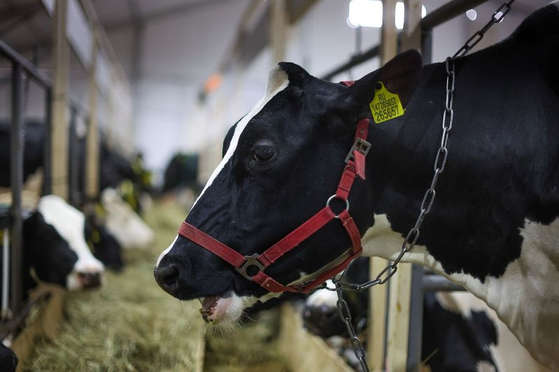    Алексей Белкин/NEWS.ru