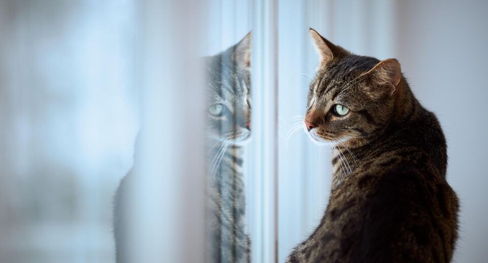    Sabine Fallend/http://imagebroker.com/#/search/ / www.globallookpress.com