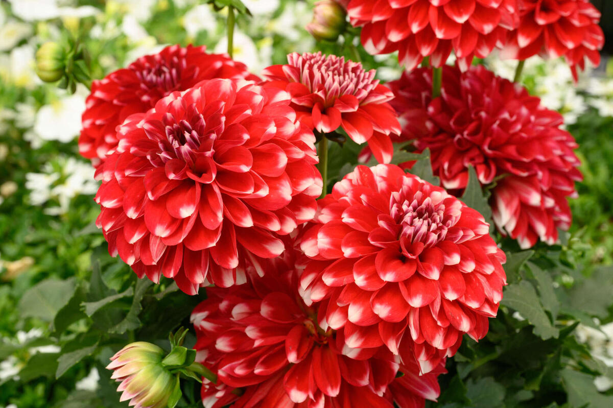 подруга просто ненавидела счастливых людей