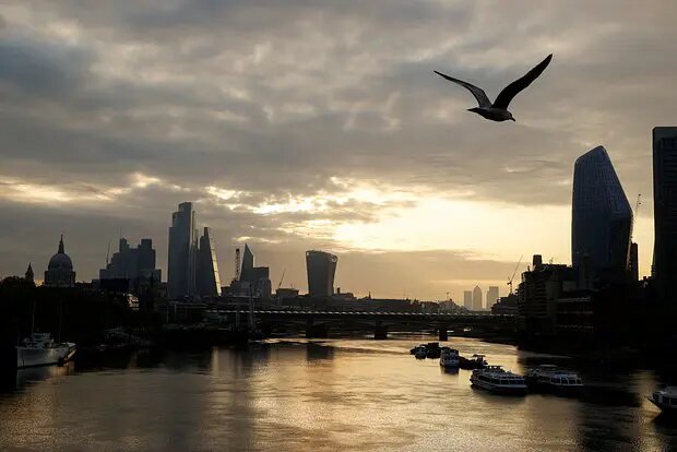    Источник: lenta.ru/ Михаил Горбунов