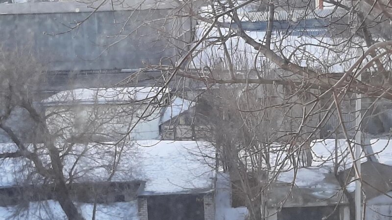     Гаражи. Двор ул. Кулагина, 4 и пр. Калинина, 22 Лариса Васильева