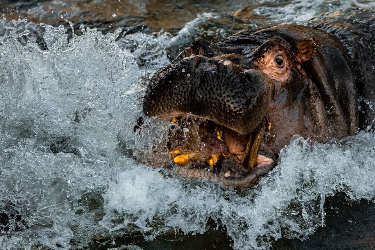     / Источник: © Global Look Press