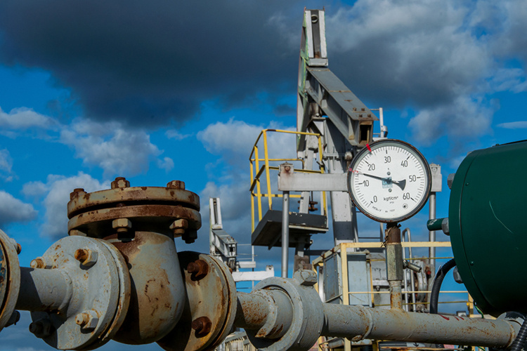    Наиболее значительное снижение допустили в нефтегазовой отрасли (на 4,7 млрд рублей, или на 47%), химии и нефтехимии (673,1 млн рублей, 45%), банковской сфере (626,6 млн рублей, 62%).   
Фото: «БИЗНЕС Online»