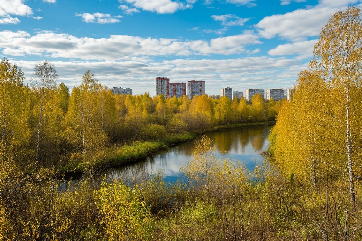    Фото: коллаж RuNews24.ru