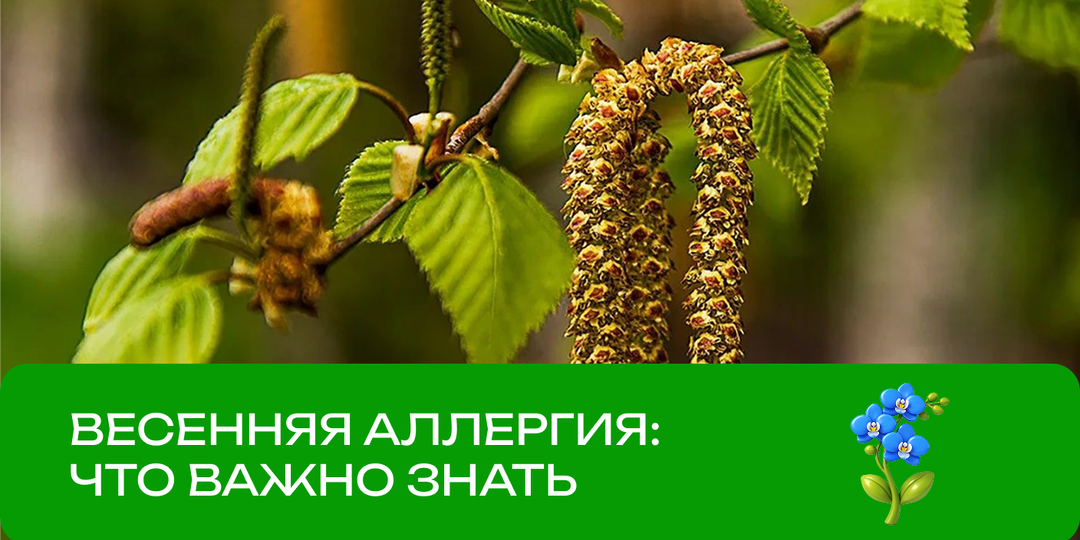 Как подготовиться к сезону аллергии