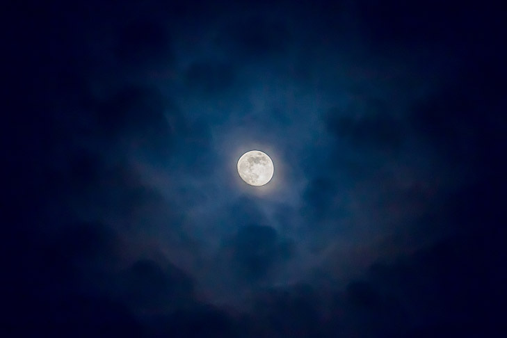    Фото Андрея Заржецкого