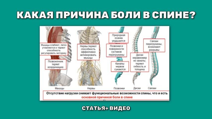 Когда боли в спине становятся опасными для здоровья?