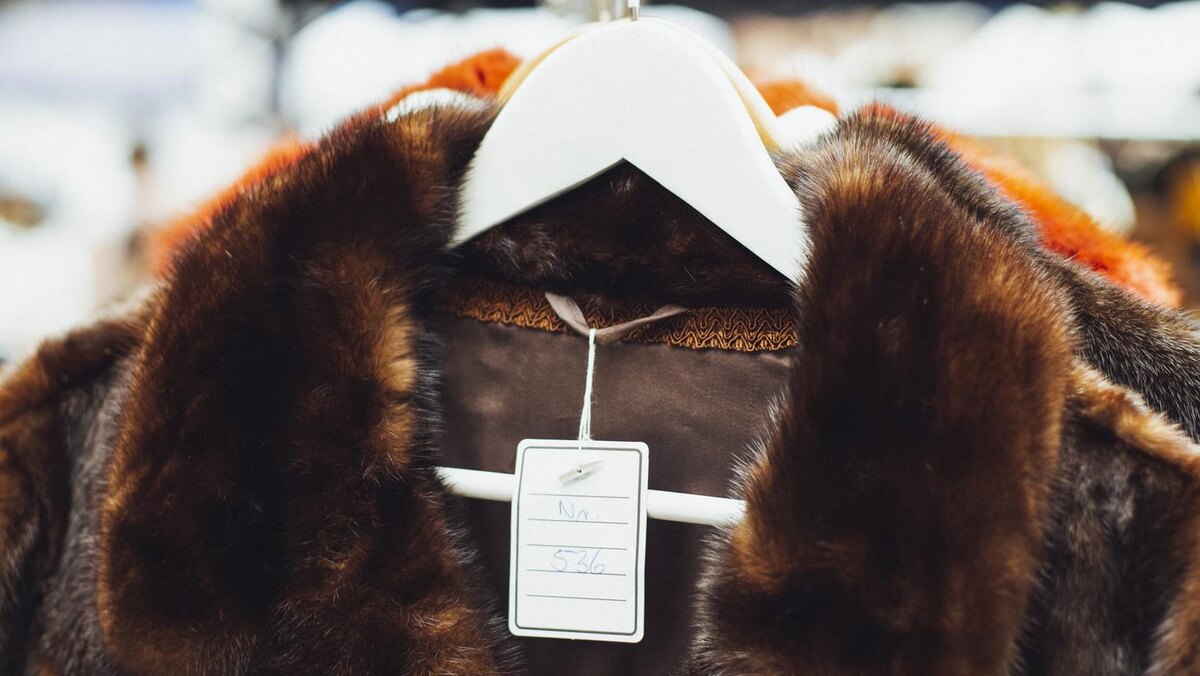    Фото: pexels.com