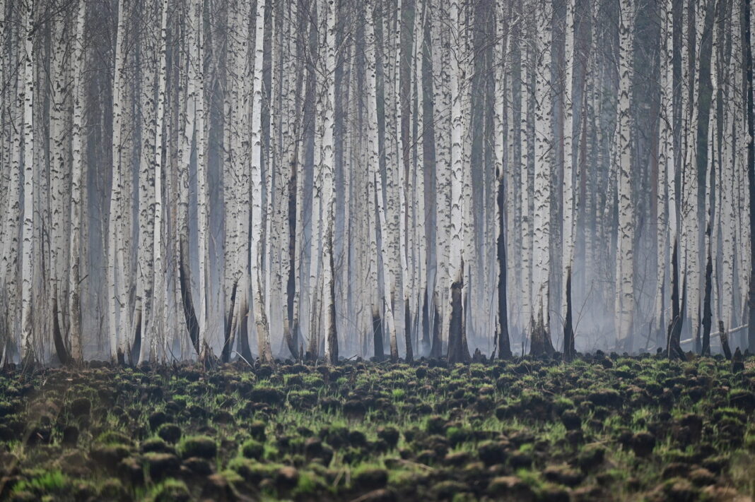 Фото: Павел Ворожцов, «Областная газета»