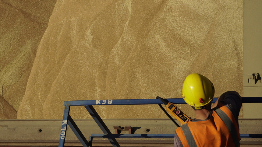    Фото: ИЗВЕСТИЯ/Сергей Венявский; 5-tv.ru