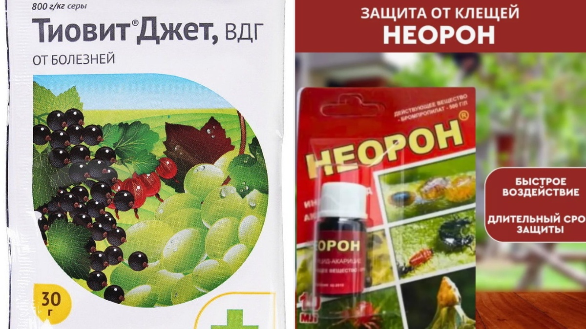  Акарициды - защита от вредителей