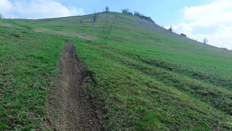      Фото: Соцсети главы Александровского округа