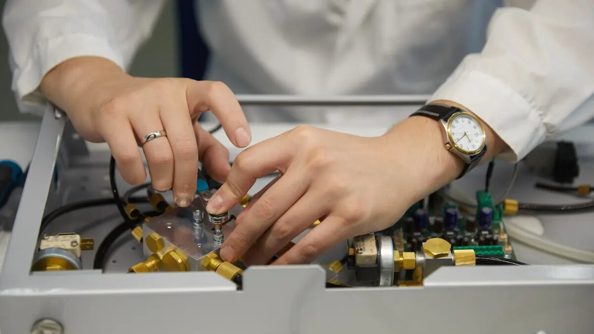    Источник: vm.ru/ Полина Степанова