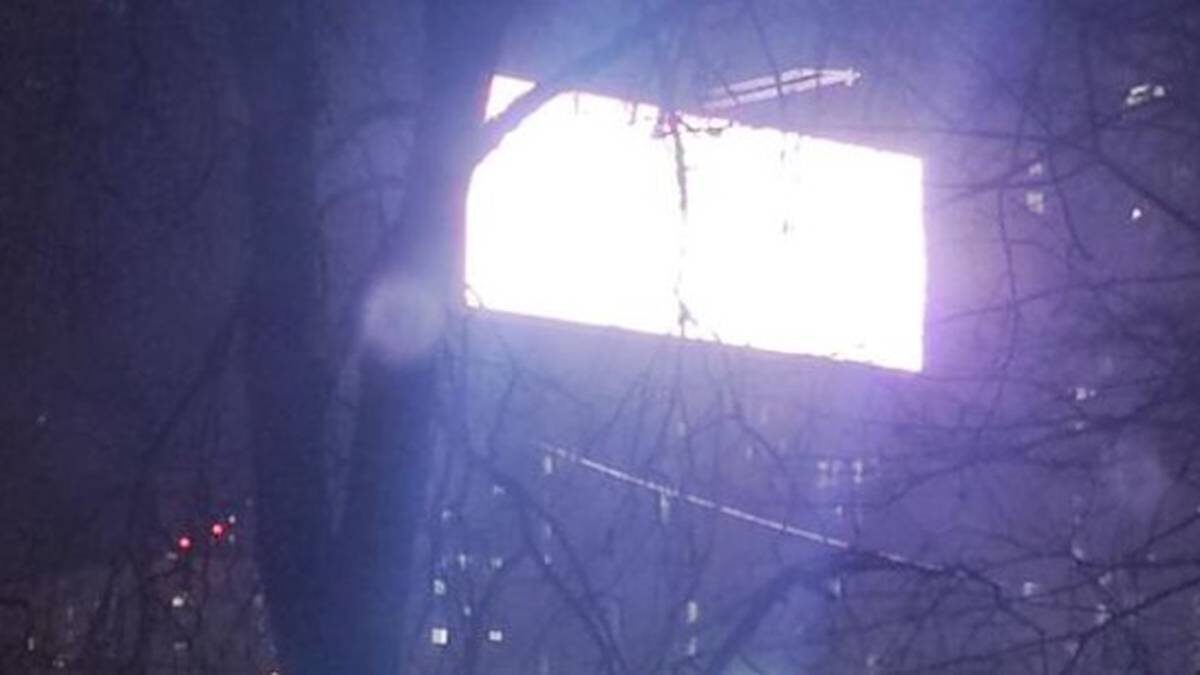    Фото: скриншот / Mash / Telegram