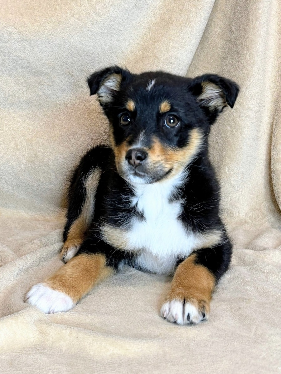 Девочка Космо