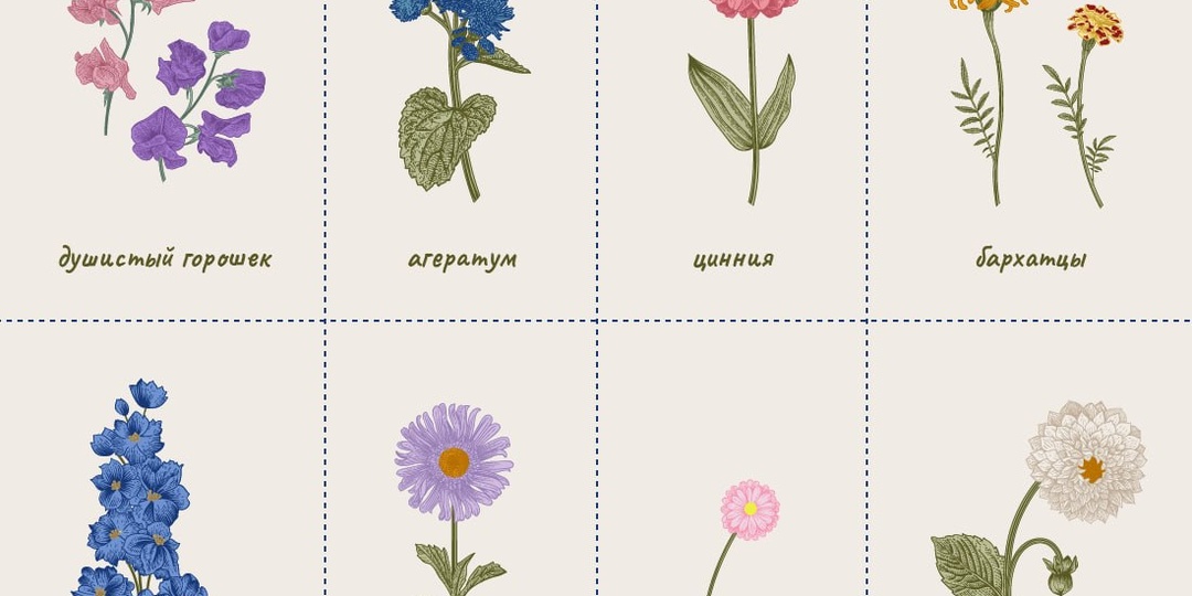 Уже продумали, какие цветы посеять в апреле