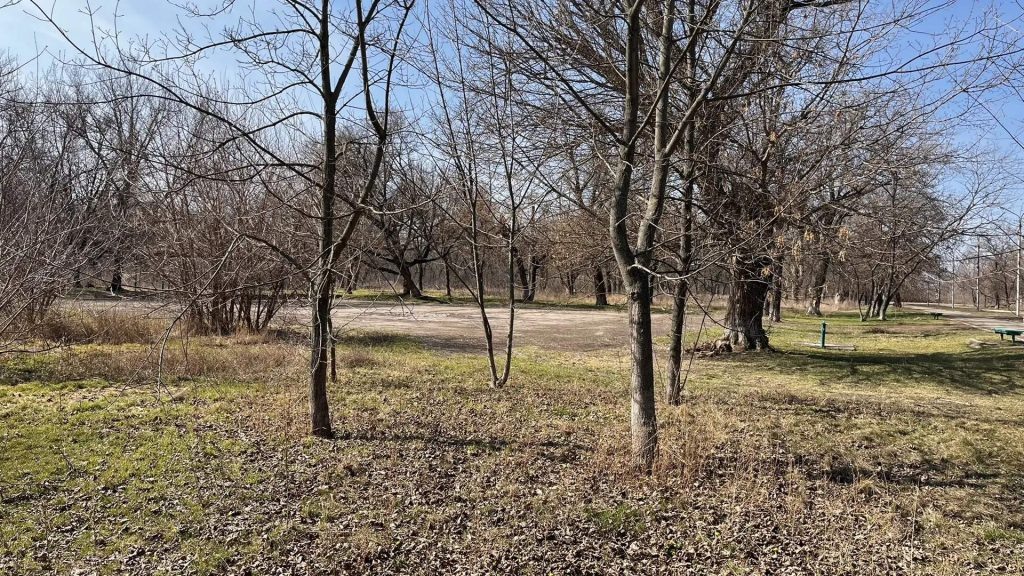    Фото: Г. Ященко. Галина Ященко