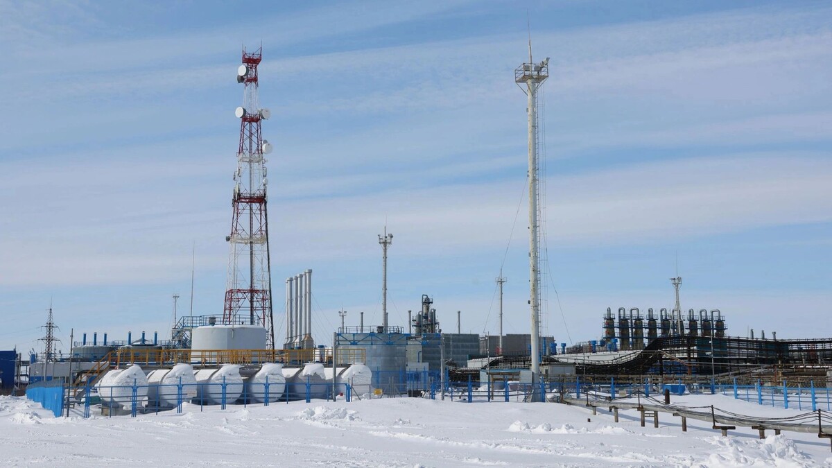    Фото: Андрей Ткачев/«Ямал-Медиа»