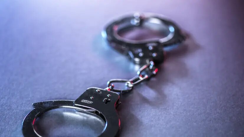    Источник: russian.rt.com Олеся Шмелева