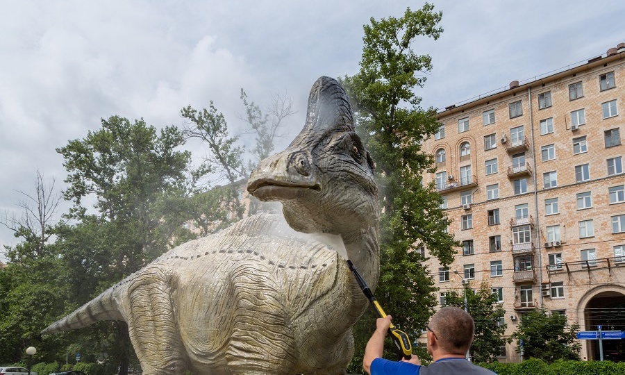 Весенняя генеральная уборка в гнезде и в норе