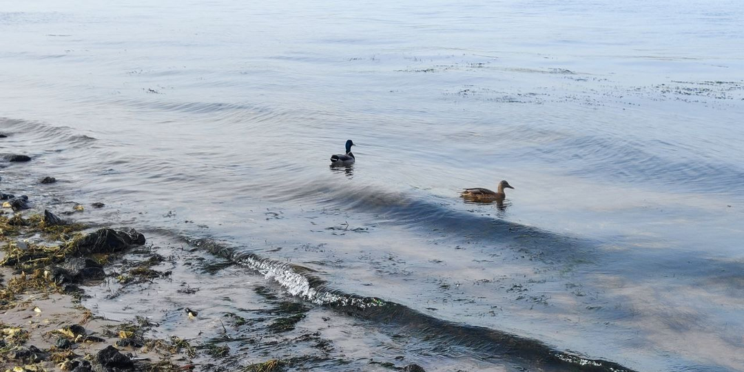 Отличница всегда и везде. Глава 22.