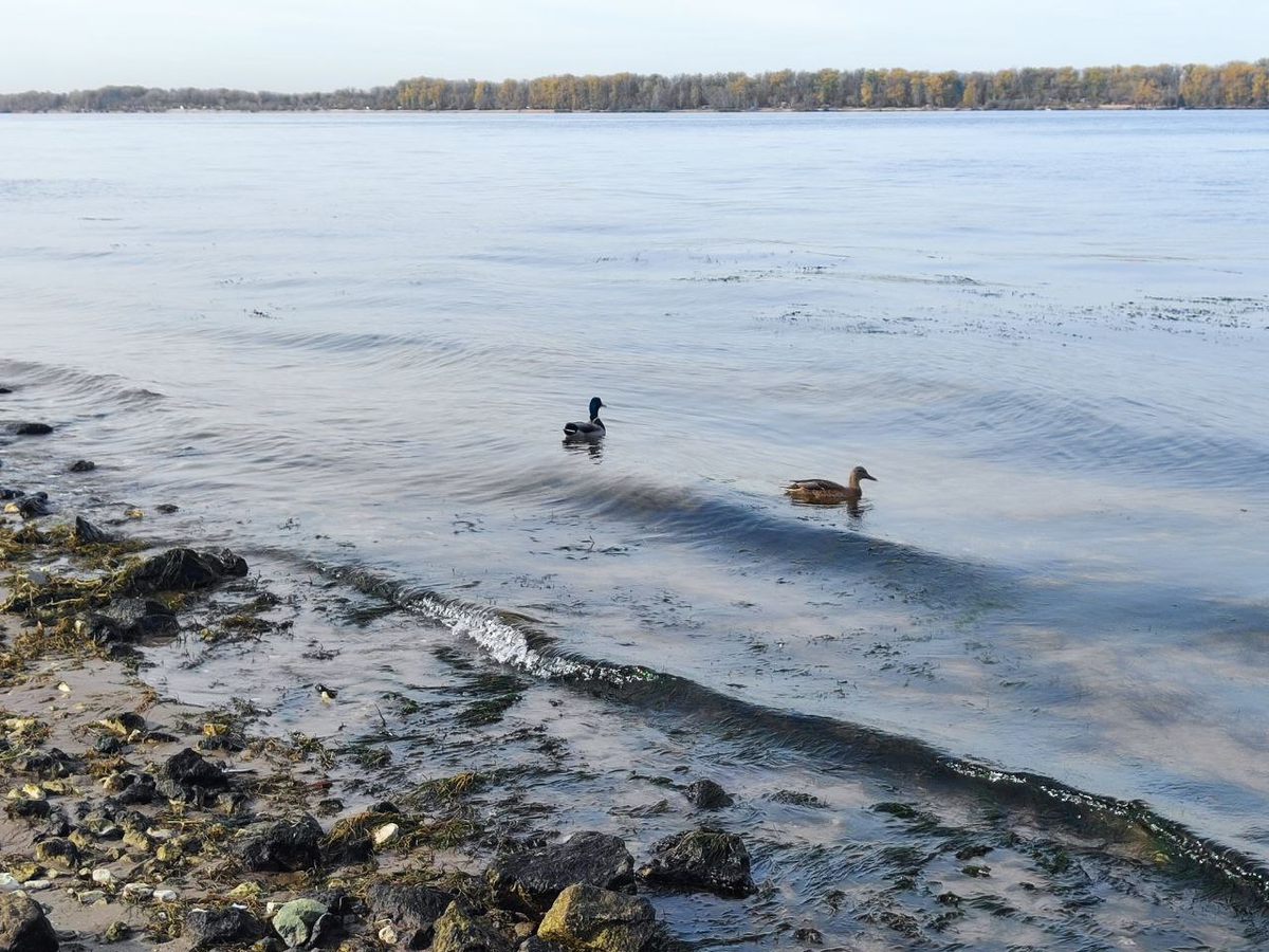 Фото автора.