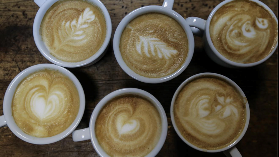    Автор фото: Сергей Савостьянов/ ТАСС