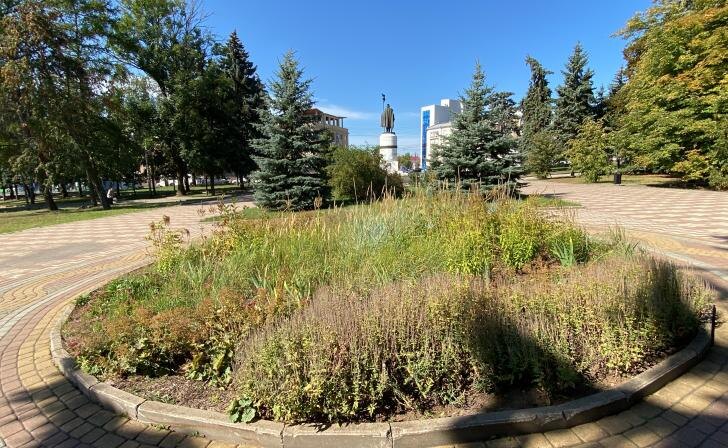    фото Курские известия