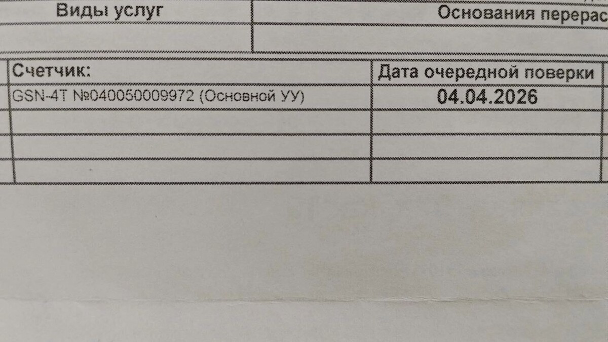    Требования о поверке счетчика пришли заблаговременно   Анна Скудаева / 1MI