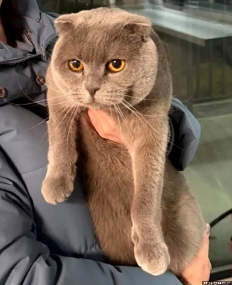 Фото пресс-службы ведомства