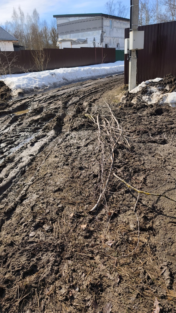 Я натаскала, из загубленного дачным строительством леса, веток - не ехать же домой, как настоящая свинья! Задумка удалась - обратно вышла практически в чистой обуви!