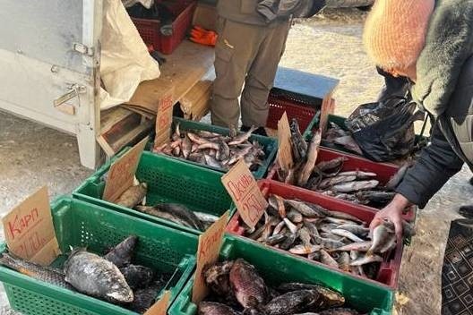    Фото: мэрия Новосибирска