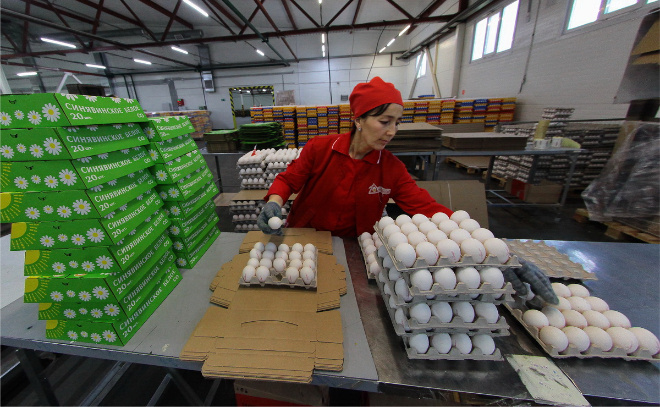    © Анастасия Илюшина / ЛенТВ24. Архивное фото