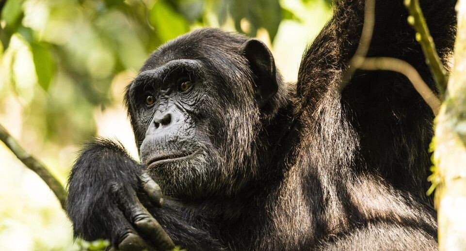    Gilles Barbier/imageBROKER.com / www.globallookpress.com