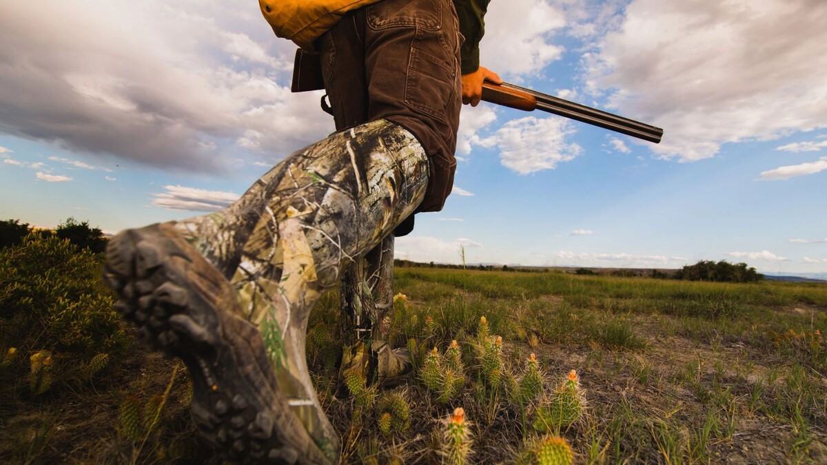    Фото: OUTDOOR_MEDIA/Shutterstock/Fotodom