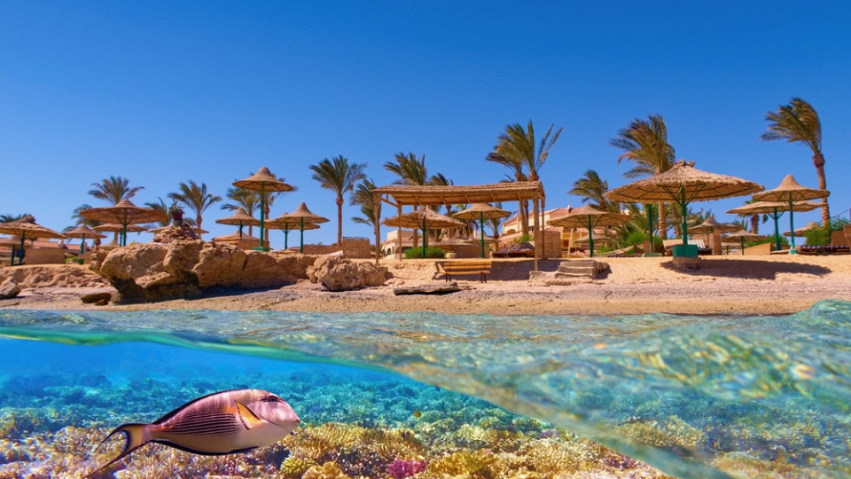 Новые отели Егип­та в Каи­ре и на Крас­ном море